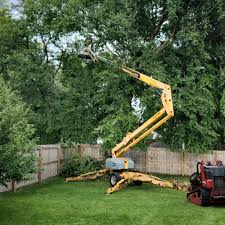 Best Tree Mulching  in Minden, NE