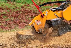 Seasonal Cleanup (Spring/Fall) in Minden, NE